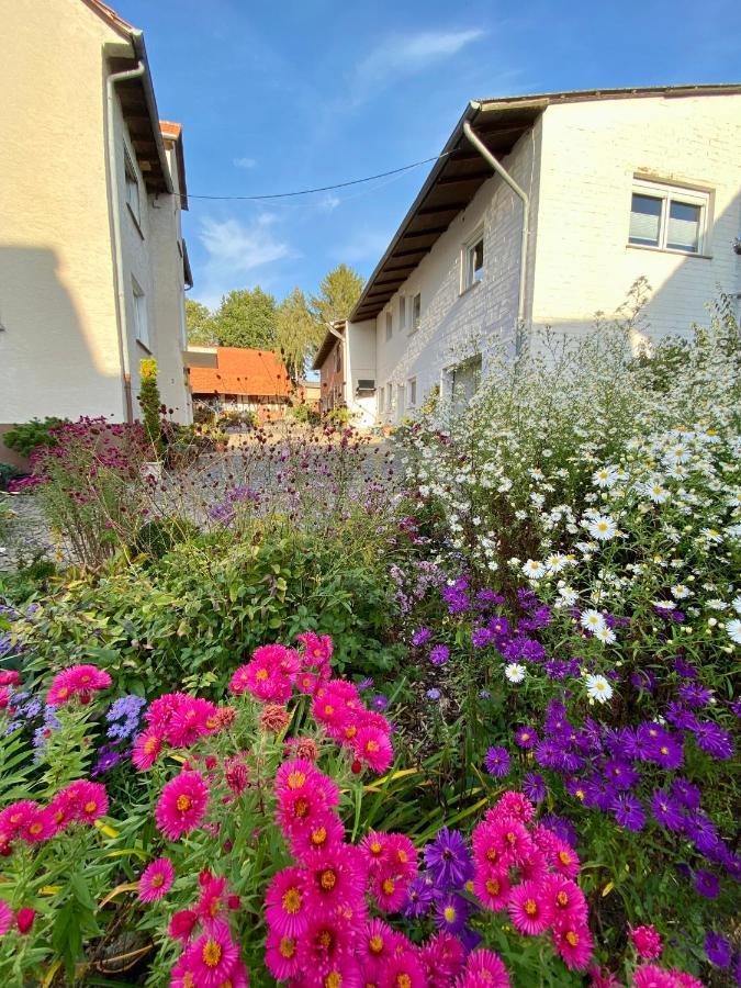 Ferienwohnung Riese Nordhessen Felsberg 외부 사진